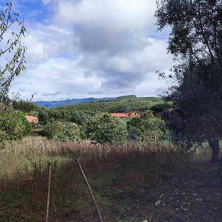Alojamento Casa Do Cabeco Alombada Macinhata do Vouga Luaran gambar