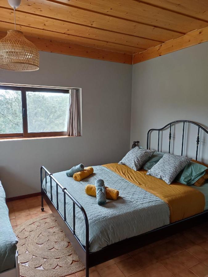 Alojamento Casa Do Cabeco Alombada Macinhata do Vouga Luaran gambar