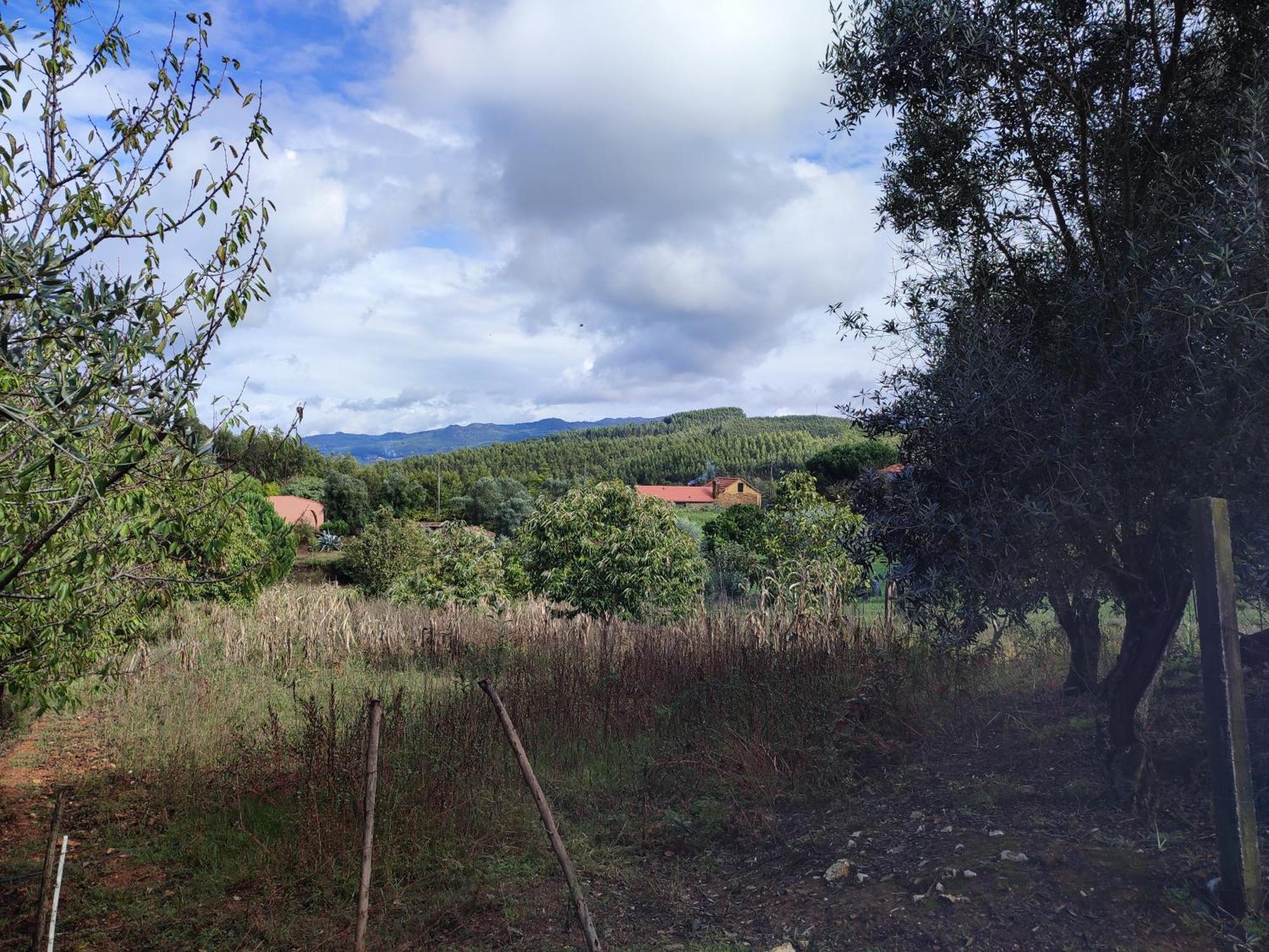Alojamento Casa Do Cabeco Alombada Macinhata do Vouga Luaran gambar